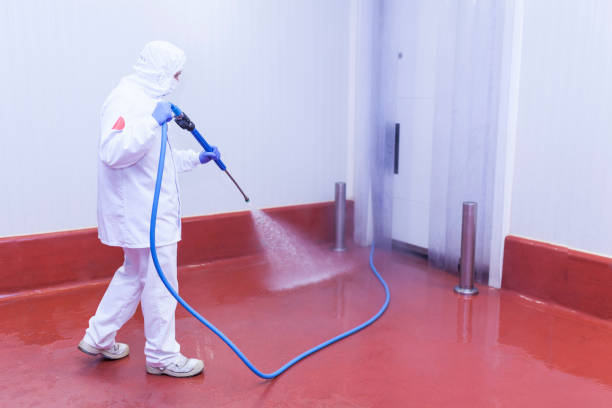 Best Machinery and Equipment Cleaning  in Kentland, IN