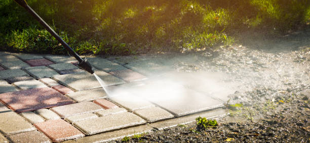 Best Fence Cleaning  in Kentland, IN