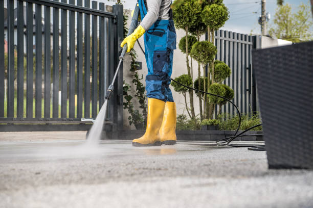 Best Sidewalk and Walkway Cleaning  in Kentland, IN