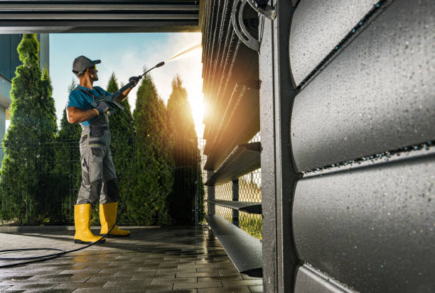 Best Driveway Pressure Washing  in Kentland, IN